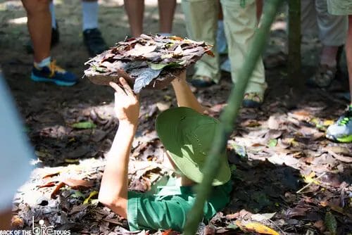 What to Wear to the Cu Chi Tunnels Cu Chi Tunnels Dress Code