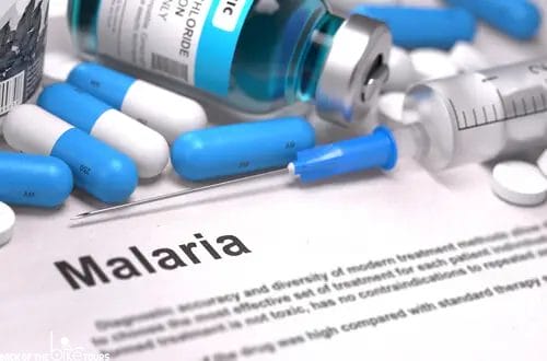 Do I Need Malaria Pills For Vietnam?