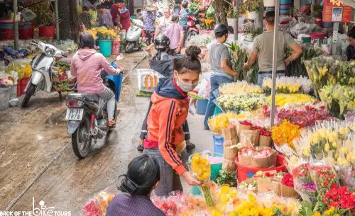 The largest wholesale flower supplier in Ho Chi Minh City