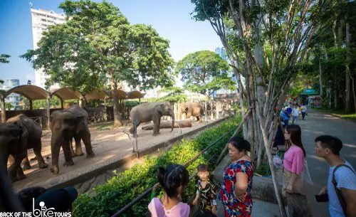 A greenish hideout for a family outing