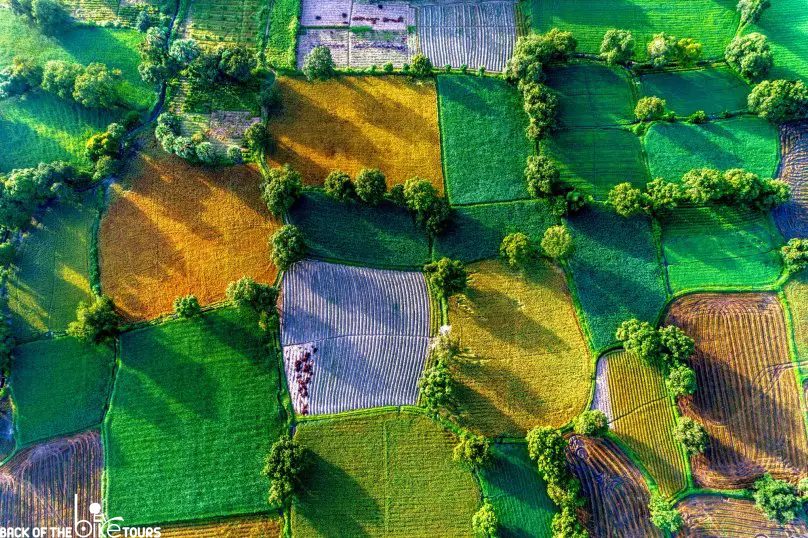 Ta Pa rice field