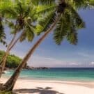 TorbenMKeller Avatar